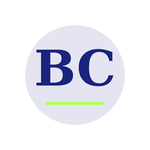 Bigelow Chimney Repair logo